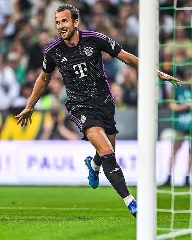 本届冠军赛 本届冠军赛