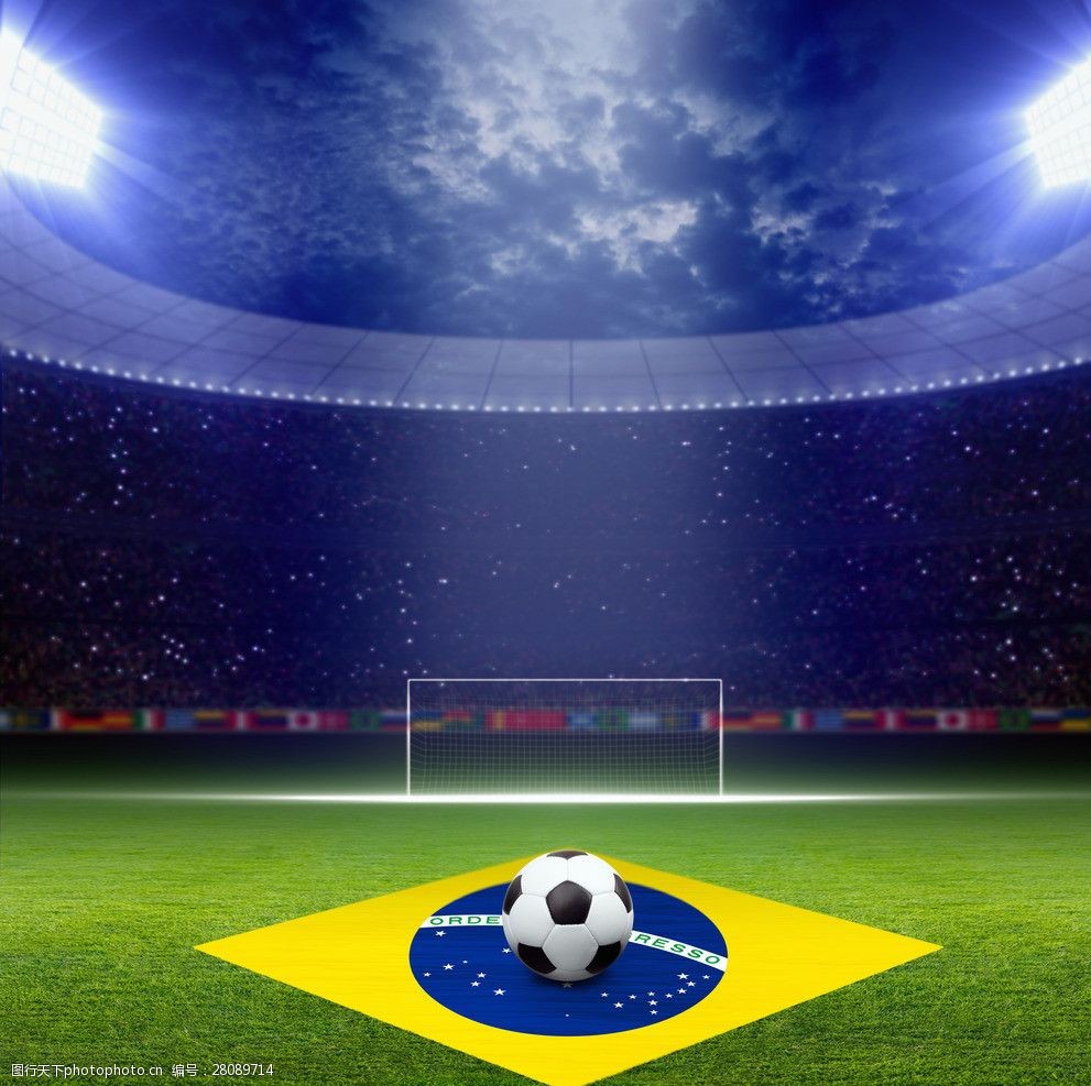 斯的保护下 斯的保护下