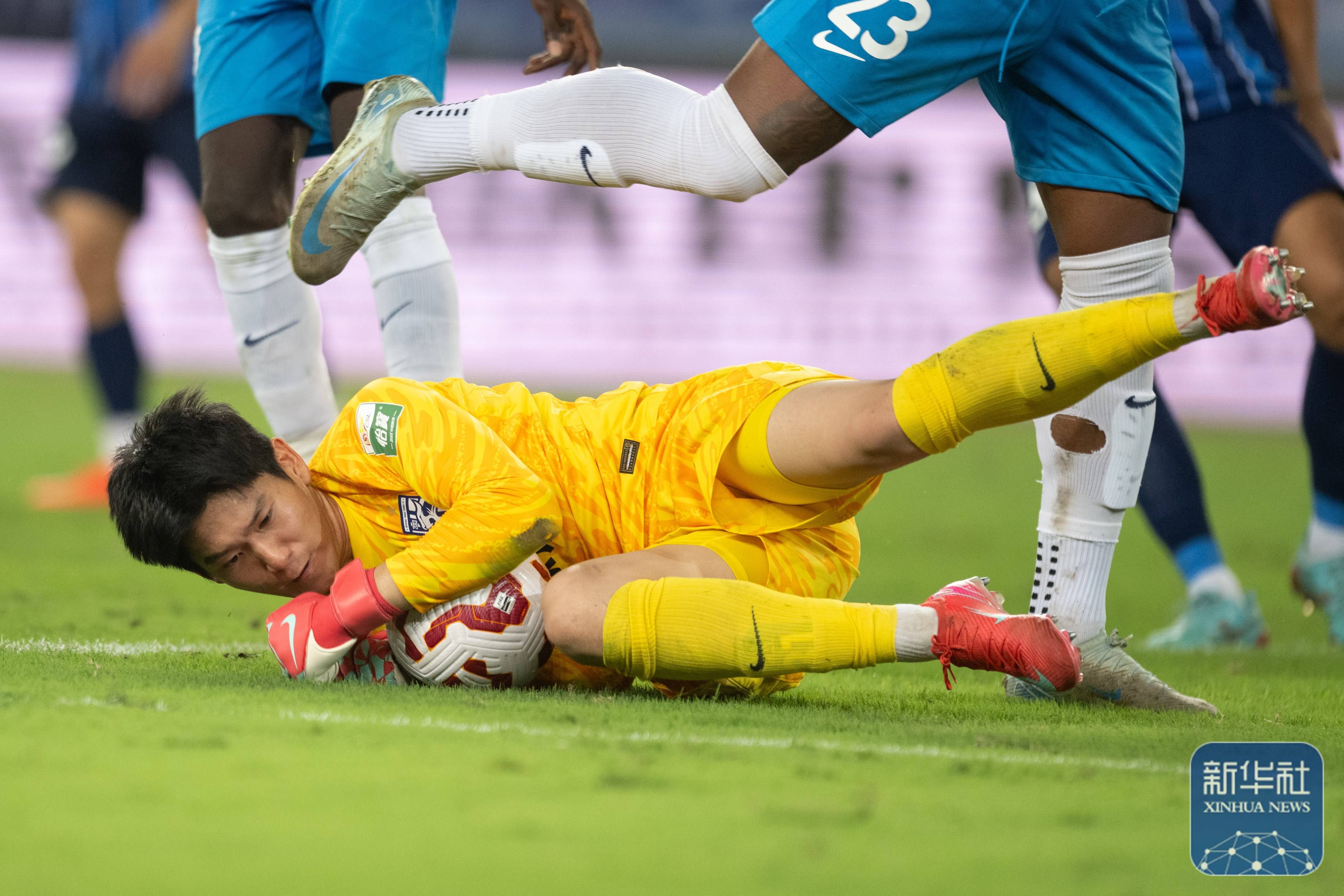 的职业生涯 的职业生涯